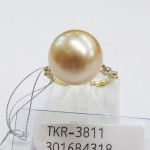 TKR-3811